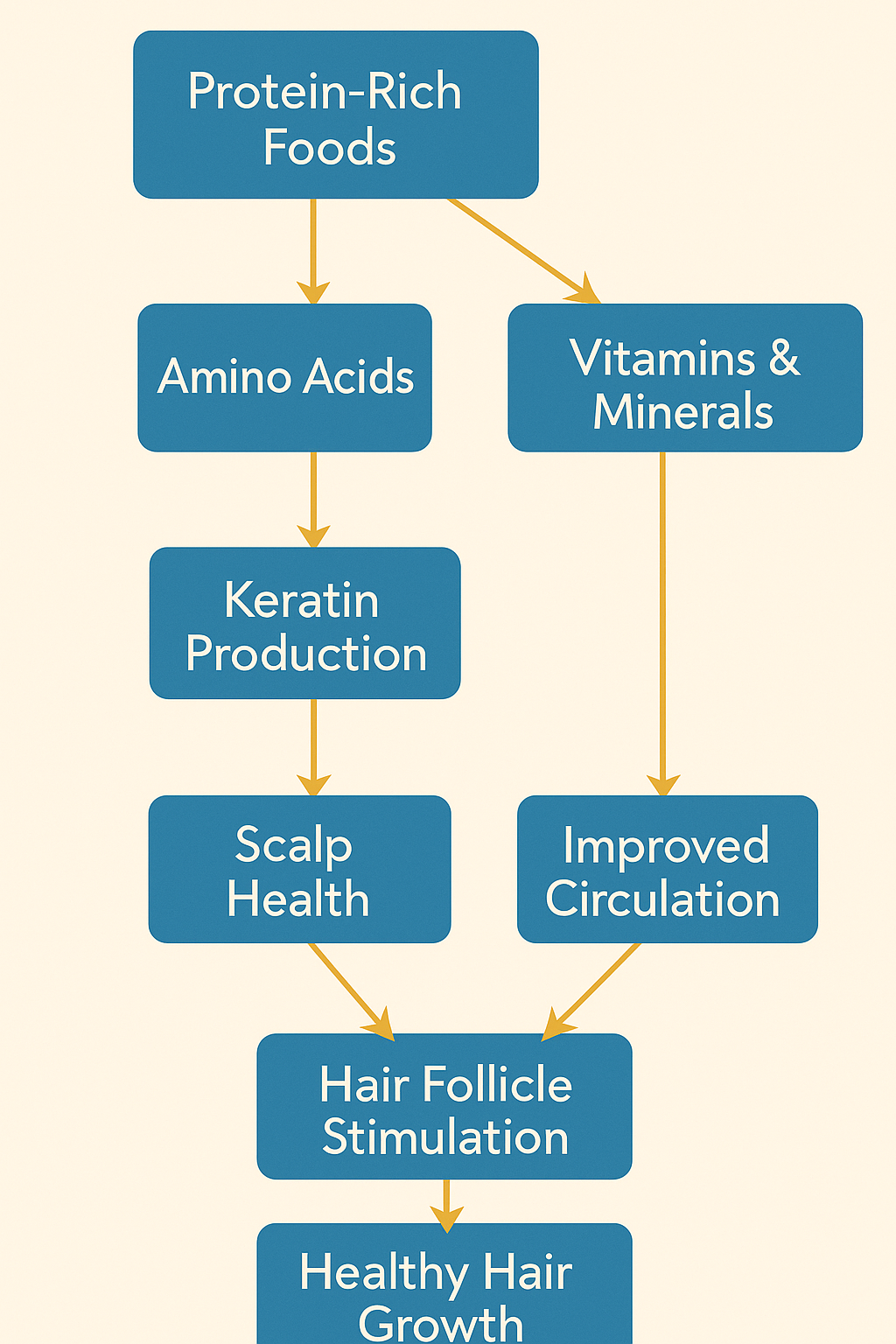 Infographic showing protein-rich foods for hair growth, including amino acids, vitamins, and minerals that enhance keratin production, scalp circulation, and follicle stimulation.
