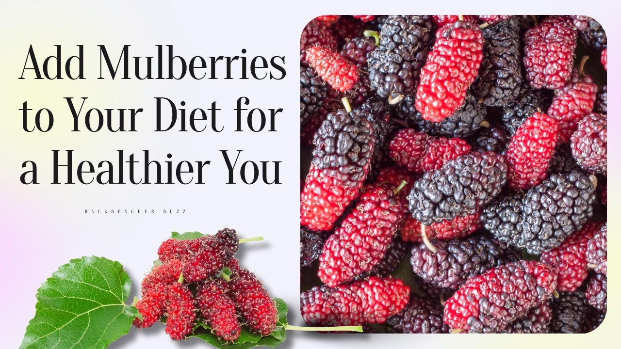 Red and black mulberries piled together, inviting you to add them to your diet for mulberry health benefits