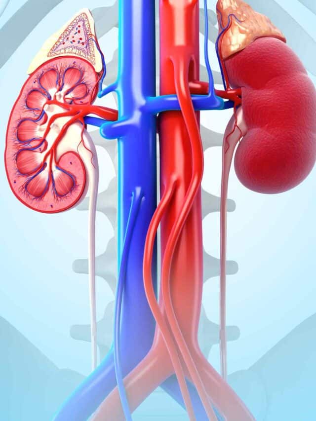 Kidney Detox Booster